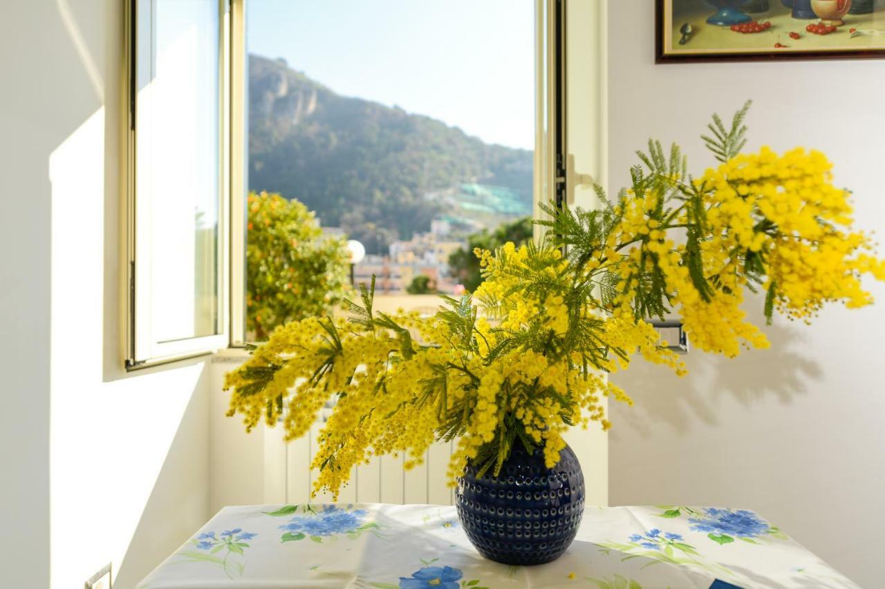 Maiori Dream House Βίλα Εξωτερικό φωτογραφία